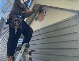 Best Historical Building Siding Restoration  in Winchester, IL